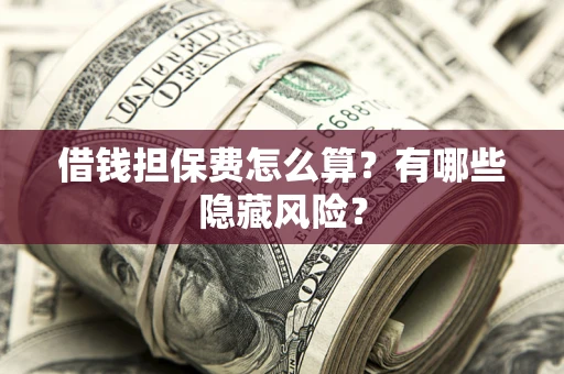 武汉借钱担保费怎么算？有哪些隐藏风险？