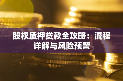 武汉股权质押贷款全攻略：流程详解与风险预警