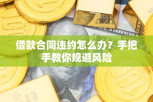 武汉借款合同违约怎么办？手把手教你规避风险