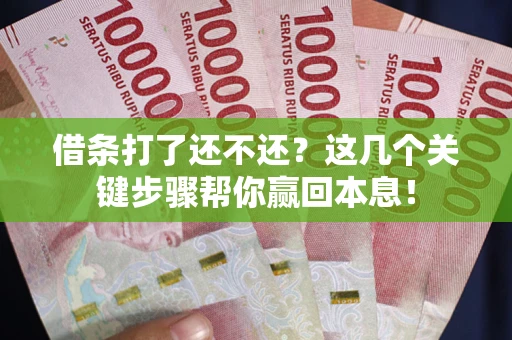 武汉借条打了还不还？这几个关键步骤帮你赢回本息！