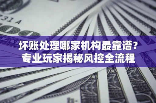 武汉坏账处理哪家机构最靠谱？专业玩家揭秘风控全流程