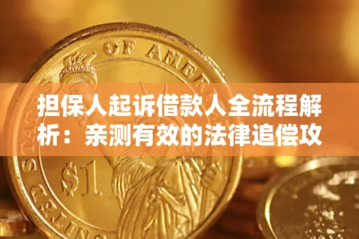 武汉担保人起诉借款人全流程解析：亲测有效的法律追偿攻略