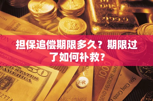 武汉担保追偿期限多久？期限过了如何补救？