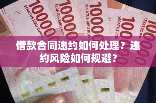 武汉借款合同违约如何处理？违约风险如何规避？