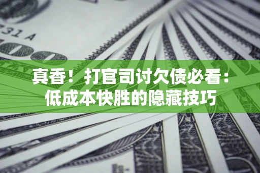 武汉真香！打官司讨欠债必看：低成本快胜的隐藏技巧