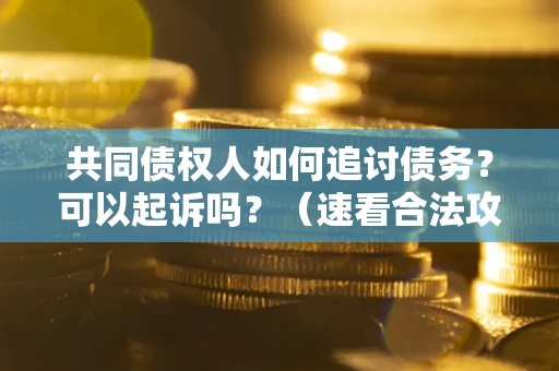 武汉共同债权人如何追讨债务？可以起诉吗？（速看合法攻略）