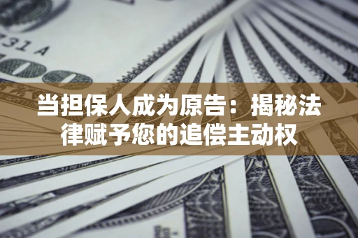 武汉当担保人成为原告：揭秘法律赋予您的追偿主动权