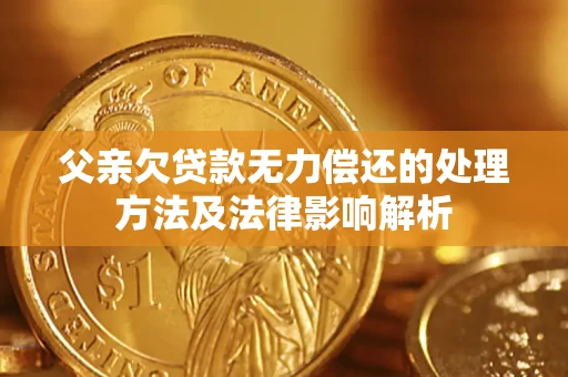 武汉父亲欠贷款无力偿还的处理方法及法律影响解析