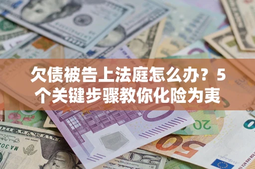 武汉欠债被告上法庭怎么办？5个关键步骤教你化险为夷