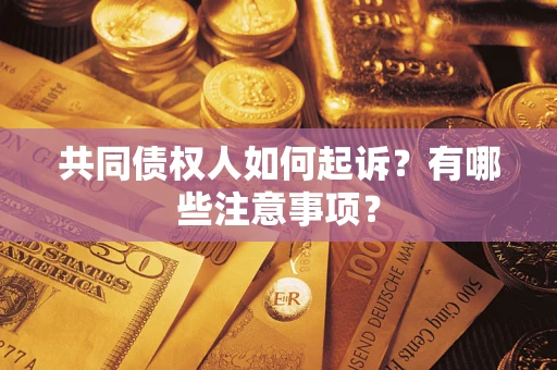 武汉共同债权人如何起诉？有哪些注意事项？